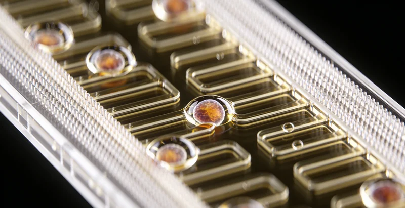 甲状腺结节超声TI-RADS分