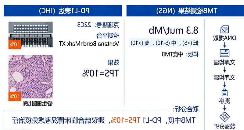 MSI-H肿瘤对免疫检查点抑制