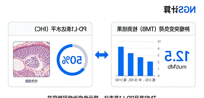 脱敏治疗示意图展示免疫系统逐渐