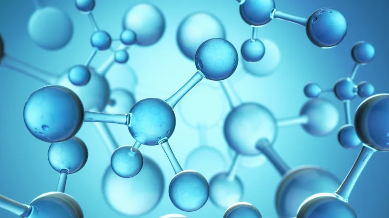 肺癌组织活检样本在显微镜下的形态