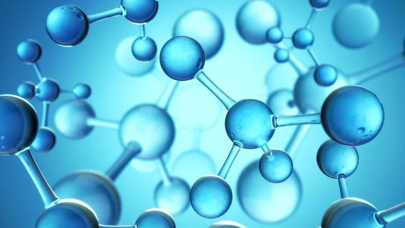 肺癌基因检测报告示意图