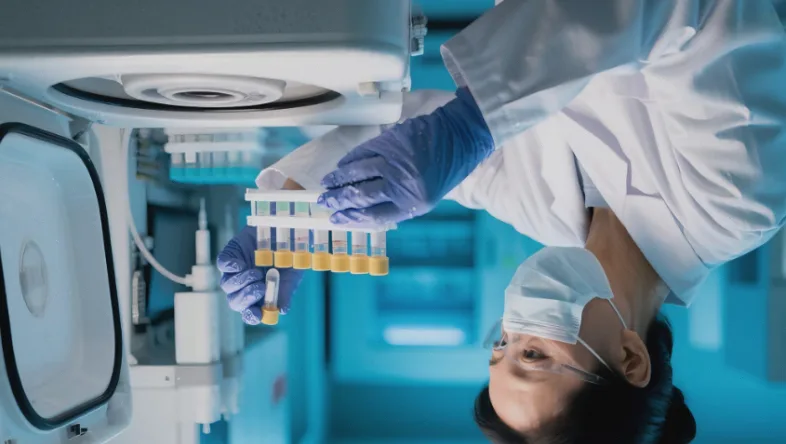 病理医师在显微镜下评估肿瘤组织切片